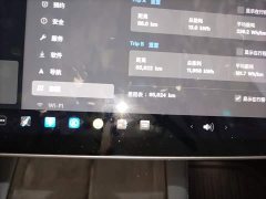 Tesla Model Y Long Range All-Wheel Drive 3D7 - ფოტო 12