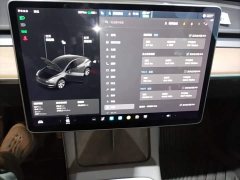 Tesla Model Y Long Range All-Wheel Drive 3D7 - ფოტო 13