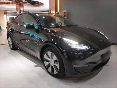 Tesla Model Y Long Range All-Wheel Drive 3D7 - ფოტო 4