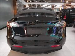 Tesla Model Y Long Range All-Wheel Drive 3D7 - ფოტო 6
