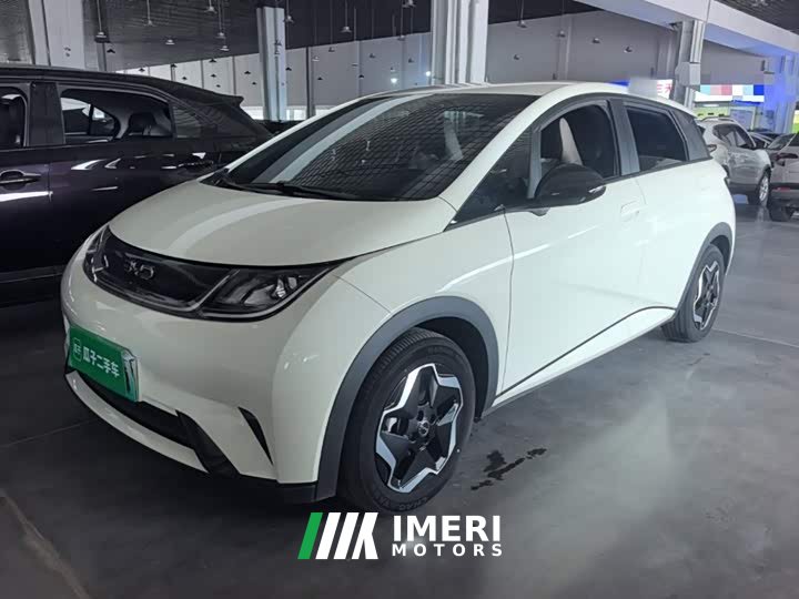 BYD Dolphin 2025 420km Vitality Edition - ავტომობილი ჩინეთიდან