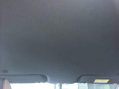 BYD Dolphin 2025 420km Vitality Edition - ფოტო 18