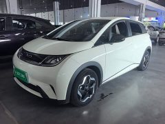 BYD Dolphin 2025 420km Vitality Edition - ფოტო 2