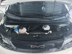 BYD Dolphin 2025 420km Vitality Edition - ფოტო 20