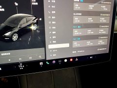 Tesla Model Y Standard Range RWD - ფოტო 12