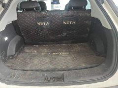 Neta V Long-Range Entertainment Edition Plus - ფოტო 19