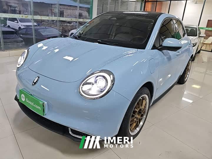 ORA Good Cat 2023 401km Standard Range Luxury LFP - ავტომობილი ჩინეთიდან