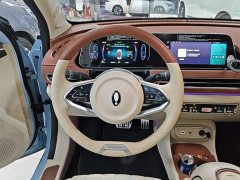 ORA Good Cat 2023 401km Standard Range Luxury LFP - ფოტო 11