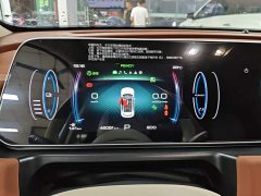 ORA Good Cat 2023 401km Standard Range Luxury LFP - ფოტო 12