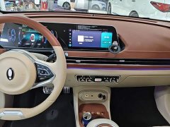 ORA Good Cat 2023 401km Standard Range Luxury LFP - ფოტო 13
