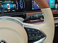 ORA Good Cat 2023 401km Standard Range Luxury LFP - ფოტო 14