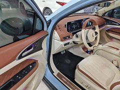 ORA Good Cat 2023 401km Standard Range Luxury LFP - ფოტო 16