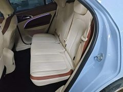 ORA Good Cat 2023 401km Standard Range Luxury LFP - ფოტო 17