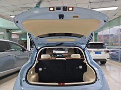 ORA Good Cat 2023 401km Standard Range Luxury LFP - ფოტო 19