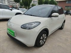Wuling Binguo 2024 333km Joy Edition - ფოტო 1