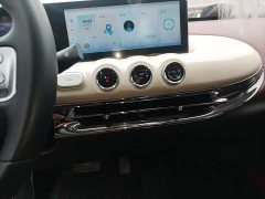 Wuling Binguo 2024 333km Joy Edition - ფოტო 13