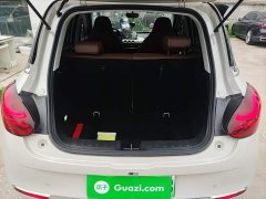 Wuling Binguo 2024 333km Joy Edition - ფოტო 19