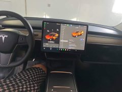 Tesla Model Y Long Range All-Wheel Drive 3D7 - ფოტო 10