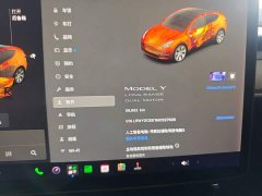 Tesla Model Y Long Range All-Wheel Drive 3D7 - ფოტო 12