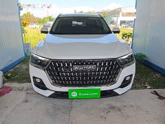 Haval H6 National Trend Edition 1.5T Automatic Urban Version - ფოტო 3