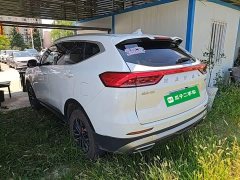 Haval H6 National Trend Edition 1.5T Automatic Urban Version - ფოტო 5