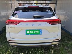 Haval H6 National Trend Edition 1.5T Automatic Urban Version - ფოტო 6