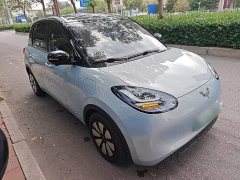 Wuling Binguo 410km Lingxi Premium Edition - ფოტო 4