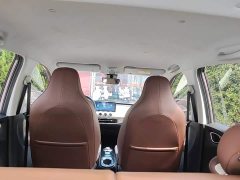 Wuling Binguo 333km Joy Edition - ფოტო 18