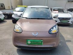 Wuling Binguo 333km Joy Edition - ფოტო 3