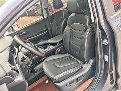 Hyundai Cosworth 2021 270TGDi Luxury Edition LUX - ფოტო 15