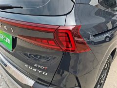 Hyundai Cosworth 2021 270TGDi Luxury Edition LUX - ფოტო 8