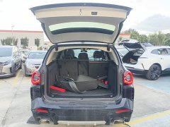 BMW X3 xDrive25i M Sport Package - ფოტო 19