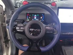 BYD Seagull Flying Edition - ფოტო 11