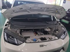 BYD Seagull Flying Edition - ფოტო 20