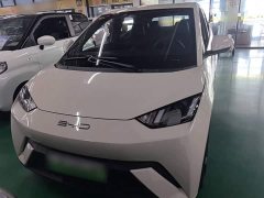 BYD Seagull Flying Edition - ფოტო 3