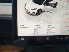 Tesla Model 3 Rear-Wheel Drive - ფოტო 12
