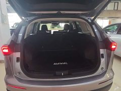 Haval H6 2.0T Two-Wheel Drive Max - ფოტო 19