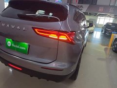 Haval H6 2.0T Two-Wheel Drive Max - ფოტო 8