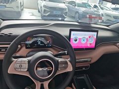 BYD Seagull 2023 Vitality Edition - ფოტო 10