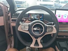 BYD Seagull 2023 Vitality Edition - ფოტო 11