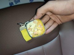 Wuling Binguo 2023 410km Lingxi Premium Edition - ფოტო 9