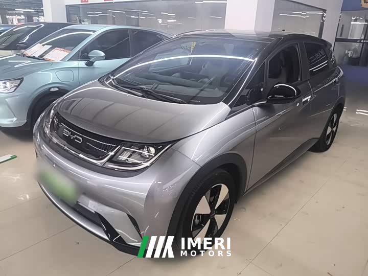 BYD Dolphin 405km Freedom Edition - ავტომობილი ჩინეთიდან