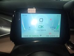 BYD Dolphin 405km Freedom Edition - ფოტო 12