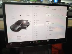 Tesla Model Y 2021 Standard Range RWD - ფოტო 12
