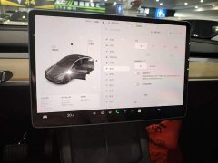 Tesla Model Y 2021 Standard Range RWD - ფოტო 13
