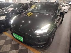 Tesla Model Y 2021 Standard Range RWD - ფოტო 2