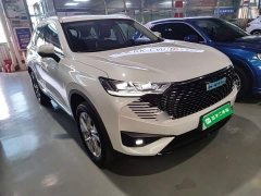 Haval H6 New Energy 2023 DHT-PHEV 55KM Comfort Edition - ფოტო 4