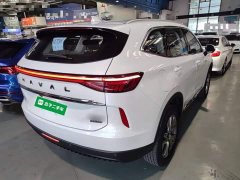 Haval H6 New Energy 2023 DHT-PHEV 55KM Comfort Edition - ფოტო 7