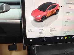 Tesla Model Y Rear-Wheel Drive - ფოტო 12