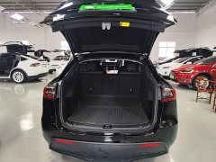Tesla Model Y Rear-Wheel Drive - ფოტო 19